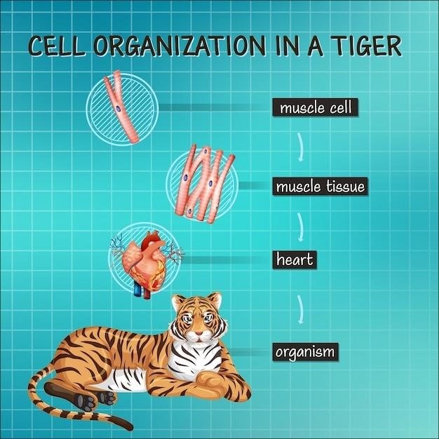 anatomy physiology lab manual answers